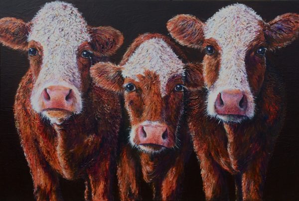 orla lucy and darcey original cow painting