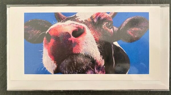 Nice Guy Eddie - pack of 5 greetings cards