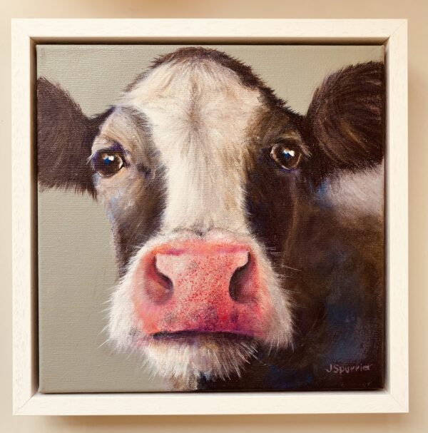 Mawgan- SOLD
