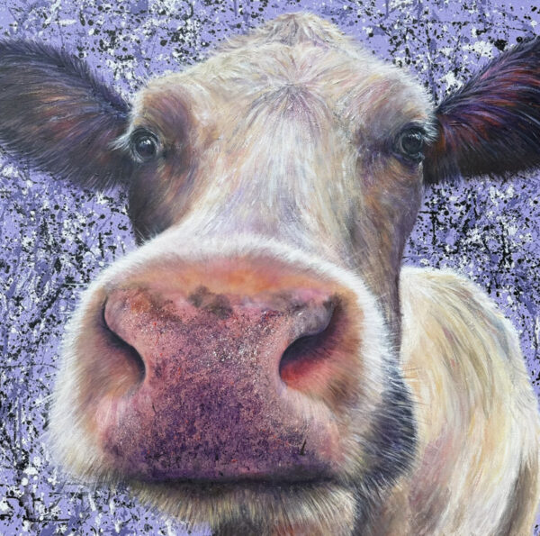 Brown and white cow painted on a purple splodgy background