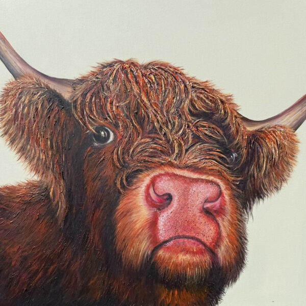 Highland cow on a creamy green background