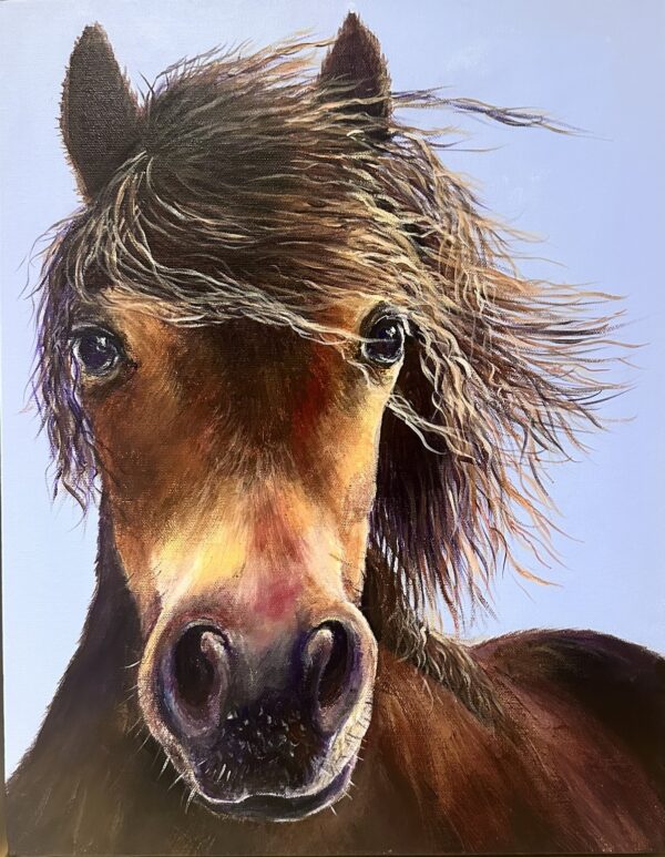 Exmoor pony